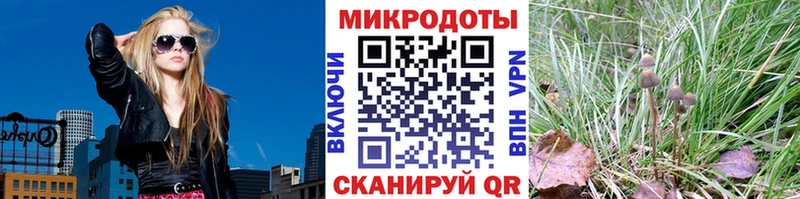 MEGA tor  Красноармейск  Псилоцибиновые грибы ЛСД  как найти закладки 