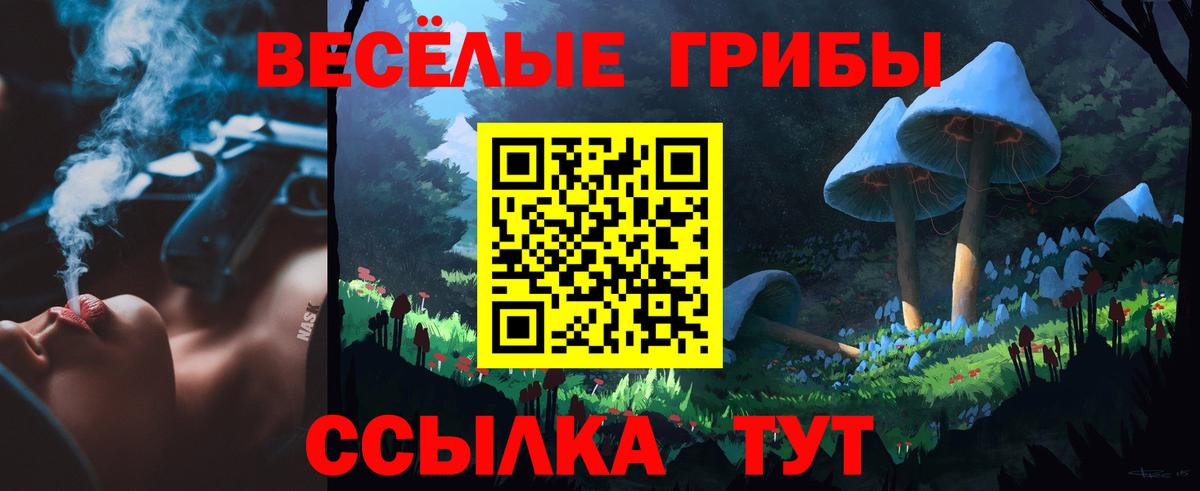 Красноармейск  Псилоцибиновые грибы мицелий  даркнет сайт  Псилоцибиновые грибы мицелий  Вход с VPN 