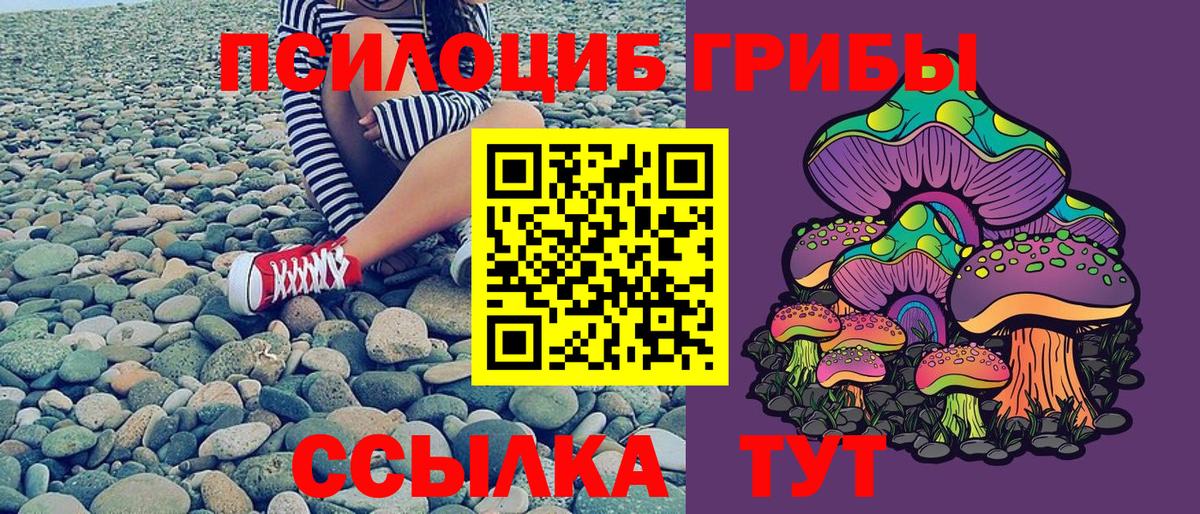 Псилоцибиновые грибы Magic Shrooms Красноармейск
